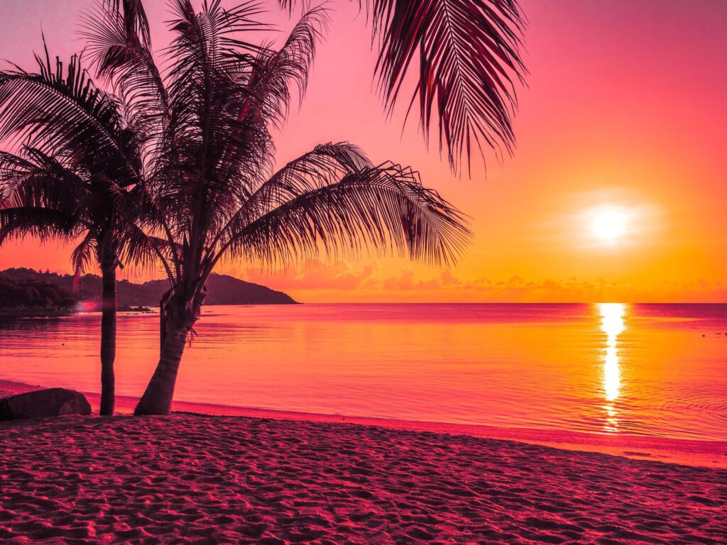 beach scene