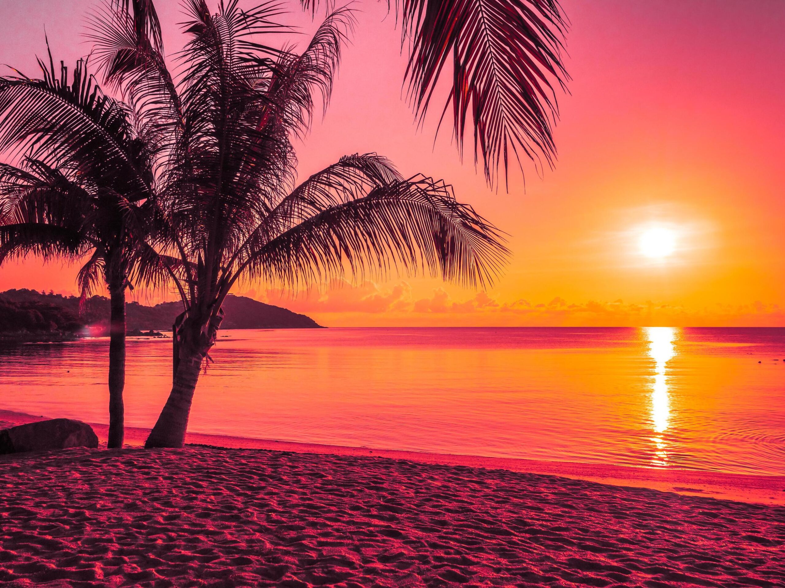 beach scene